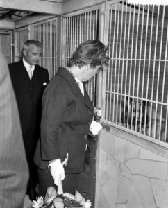 Koningin Juliana bekijkt de hondenhokken, Bestanddeelnr 911-6200
