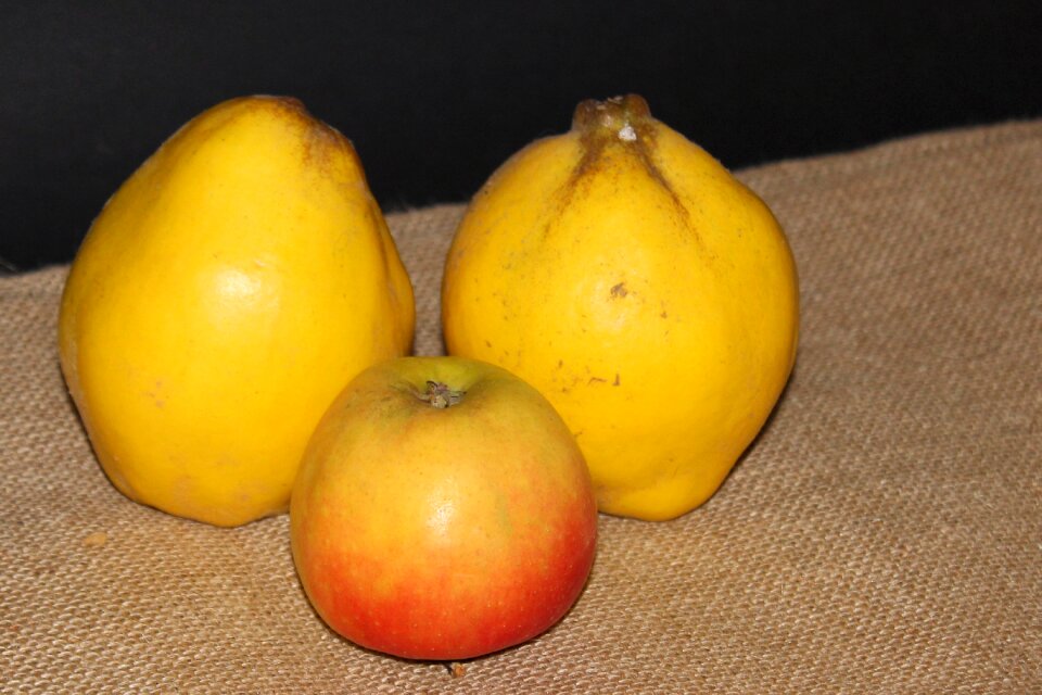 Apple red apple fruit