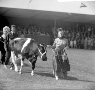 Koningin Juliana bezocht de tentoonstelling Rundveestamboek in Den Bosch, het ve, Bestanddeelnr 916-8409