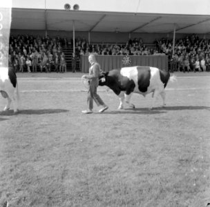 Koningin Juliana bezocht de tentoonstelling Rundveestamboek in Den Bosch, een de, Bestanddeelnr 916-8406