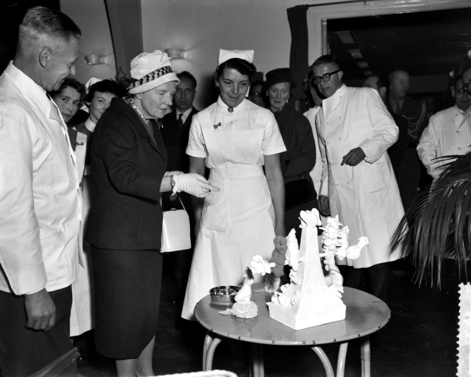 Koningin bezoekt Rijkspsychiatrische Inrichting te Eindhoven, Bestanddeelnr 910-8113