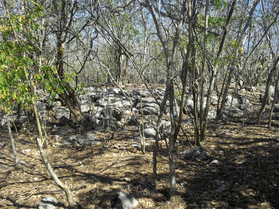 Komchén (Mérida), Yucatán (11)