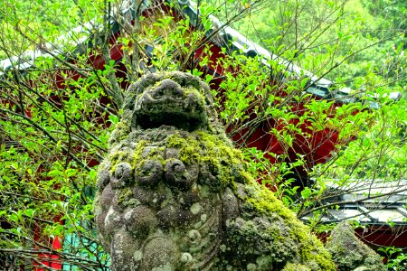 Komainu - Hakone-jinja - Hakone, Japan - DSC05795