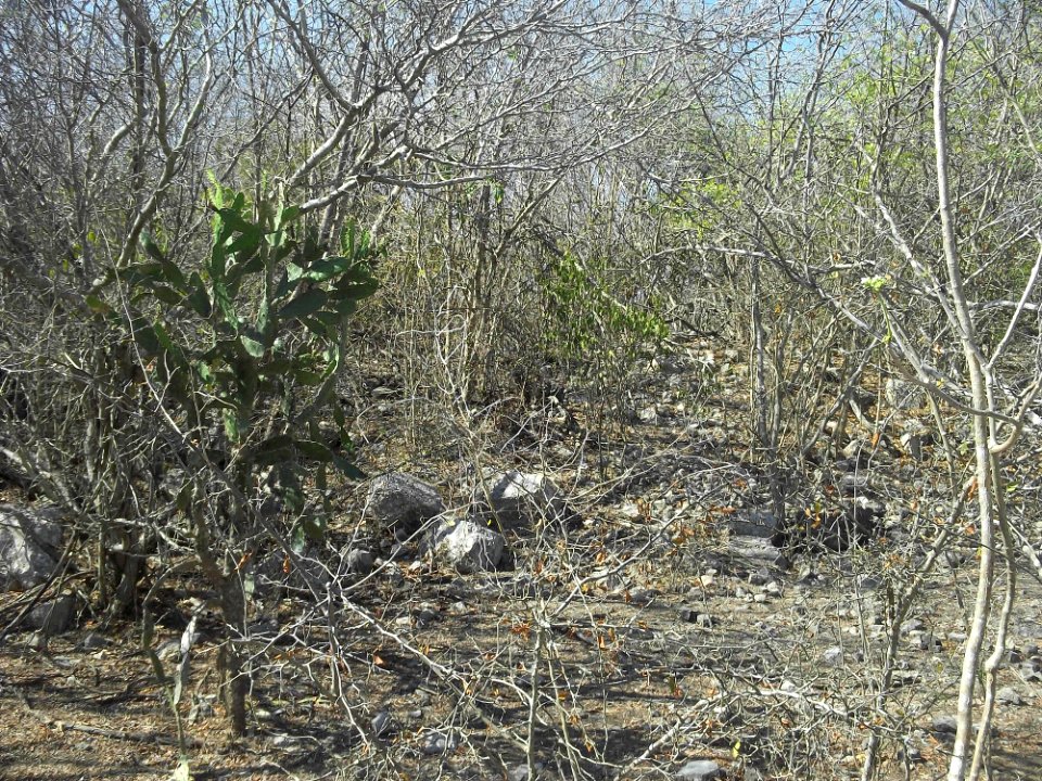 Komchén (Mérida), Yucatán (10)