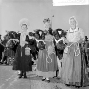 Koningin Juliana bezocht de tentoonstelling Rundveestamboek in Den Bosch, de beg, Bestanddeelnr 916-8405