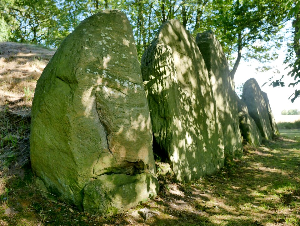 Kongehøjen2Suedseite