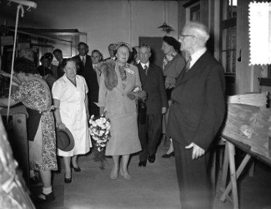 Koningin Juliana bezoekt de Noord Veluwe (Ermelo en Harderwijk), Bestanddeelnr 906-5159