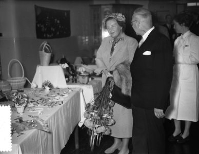Koningin Juliana bezoekt de Noord Veluwe (Ermelo en Harderwijk), Bestanddeelnr 906-5160
