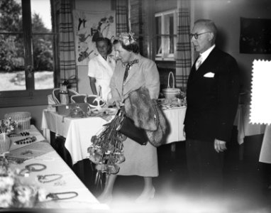 Koningin Juliana bezoekt de Noord Veluwe (Ermelo en Harderwijk), Bestanddeelnr 906-5164