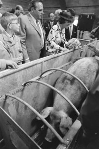 Koningin Beatrix tijdens bezoek aan Zuid Oost Utrecht Koningin Beatrix bij var, Bestanddeelnr 933-6924