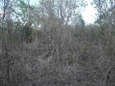 Komchén (Mérida), Yucatán (21)