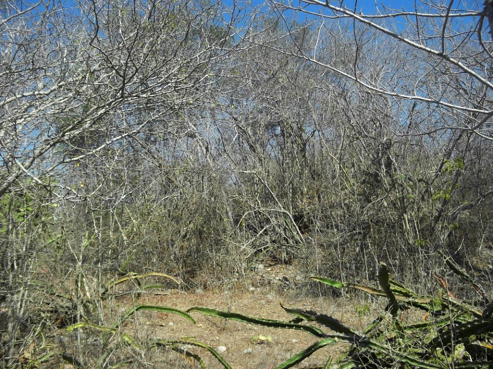 Komchén (Mérida), Yucatán (14)