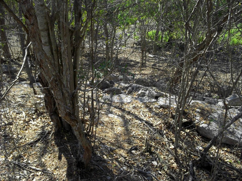 Komchén (Mérida), Yucatán (12)