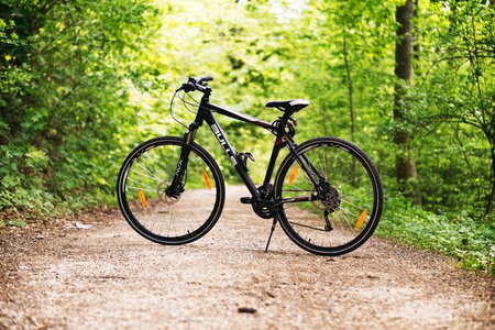 Path sports outdoors
