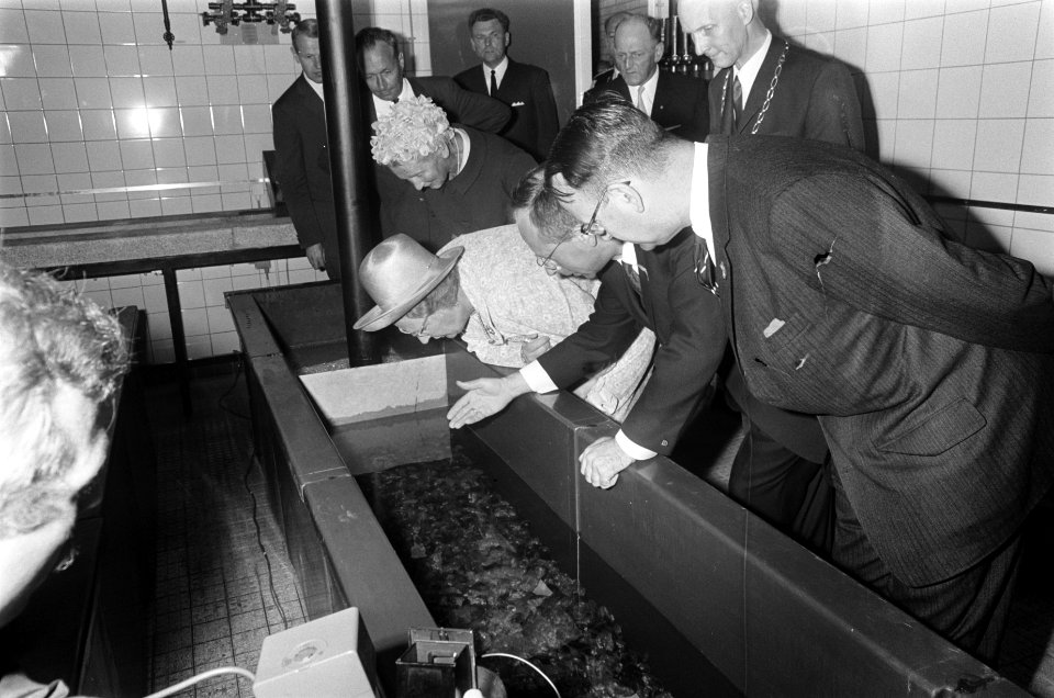 Koningin Juliana bezoekt een laboratorium, Bestanddeelnr 922-5379