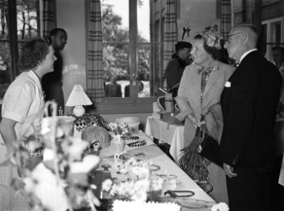 Koningin Juliana bezoekt de Noord Veluwe (Ermelo en Harderwijk), Bestanddeelnr 906-5174