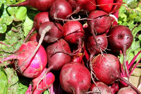 Red food garden photo