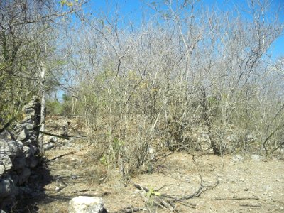 Komchén (Mérida), Yucatán (06)