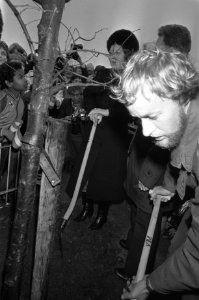 Koningin Beatrix plant een boom in Almere, Bestanddeelnr 931-8319