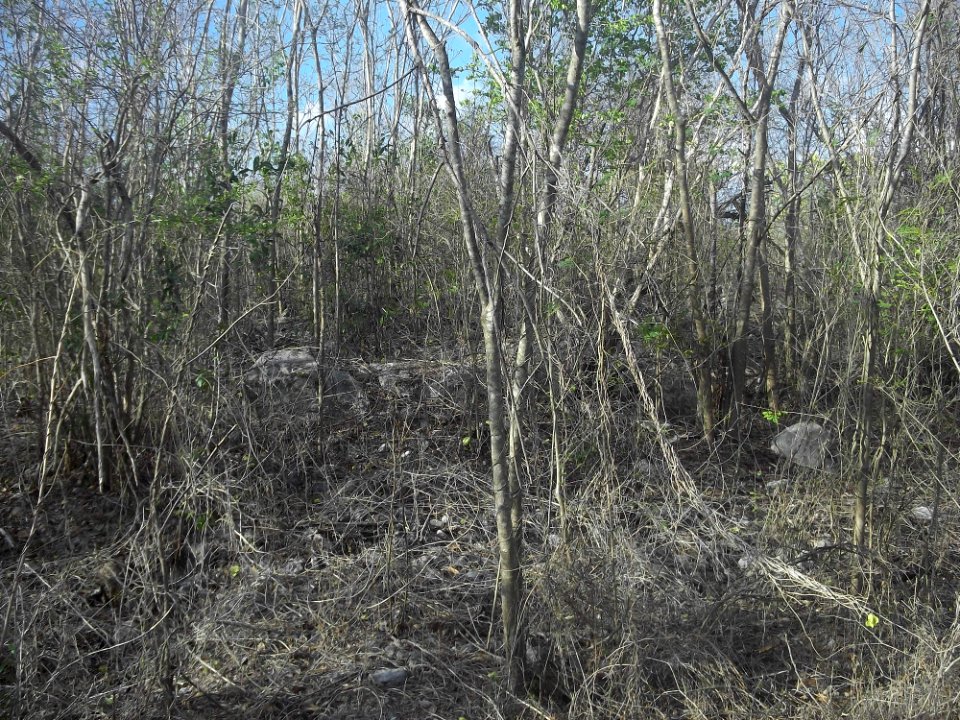 Komchén (Mérida), Yucatán (20)