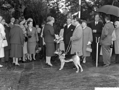 Koningin Juliana in gesprek met , Bestanddeelnr 911-6206