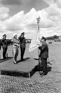 Koningin geeft vaandel aan Luchtmacht, overhandiging van vaandel, Bestanddeelnr 917-7922