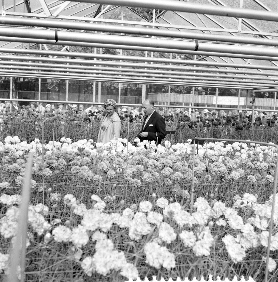 Koningin Juliana in een kas, Bestanddeelnr 911-4405