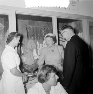 Koningin Juliana in de Van de Wouden Stichting, Bestanddeelnr 907-3517