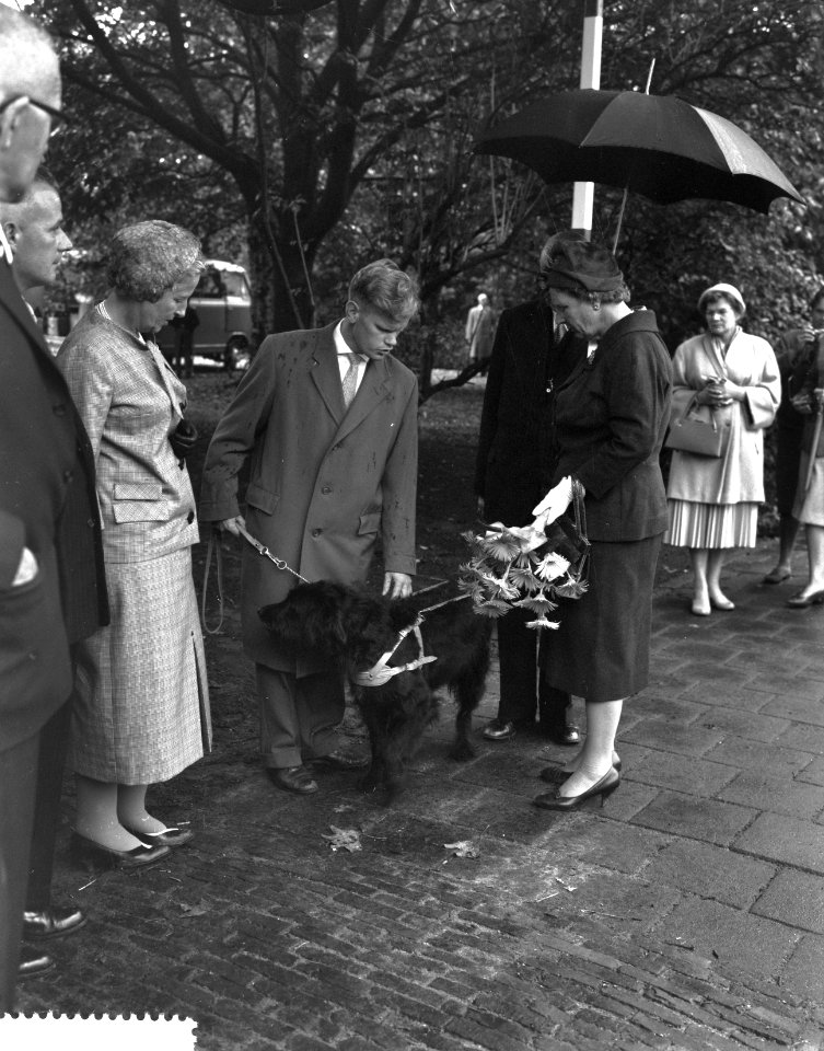 Koningin Juliana maakt een praatje, Bestanddeelnr 911-6199