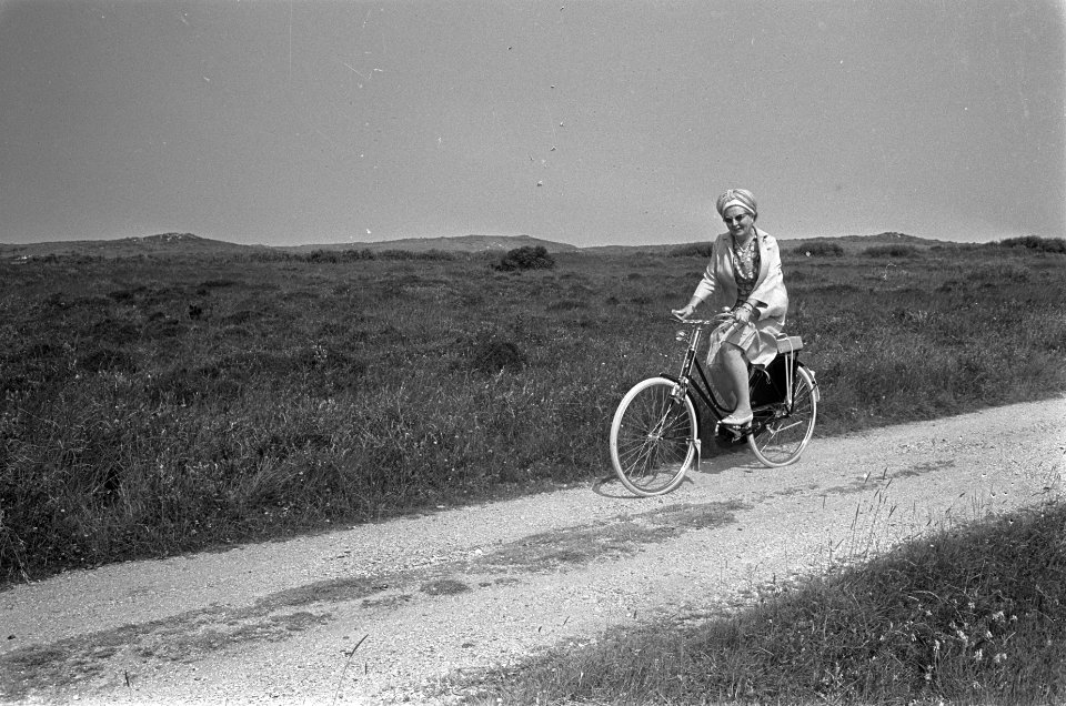 Koningin Juliana maakt een fietstochtje in het natuurreservaat De Boschplaat o, Bestanddeelnr 920-4948