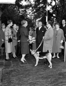 Koningin Juliana in gesprek met , Bestanddeelnr 911-6207