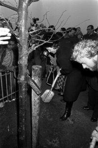 Koningin Beatrix plant een boom in Almere, Bestanddeelnr 931-8320