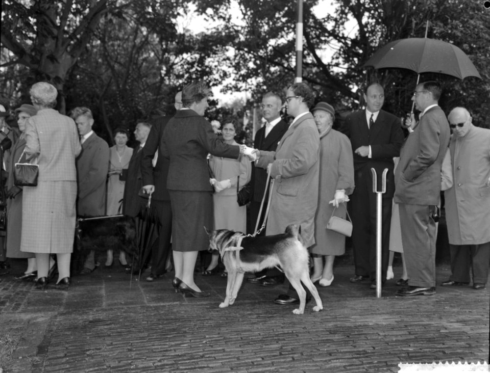 Koningin Juliana in gesprek met , Bestanddeelnr 911-6205