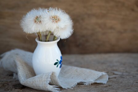 White vase deco photo