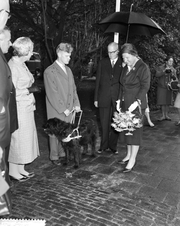 Koningin Juliana maakt een praatje, Bestanddeelnr 911-6201