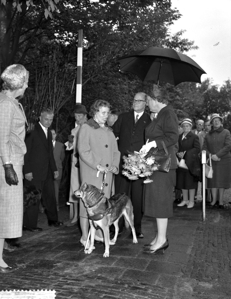 Koningin Juliana maakt een praatje, Bestanddeelnr 911-6202