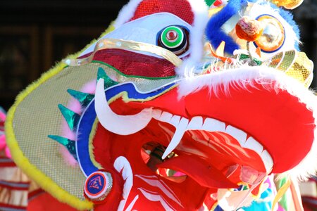 Dragon chinese new year
