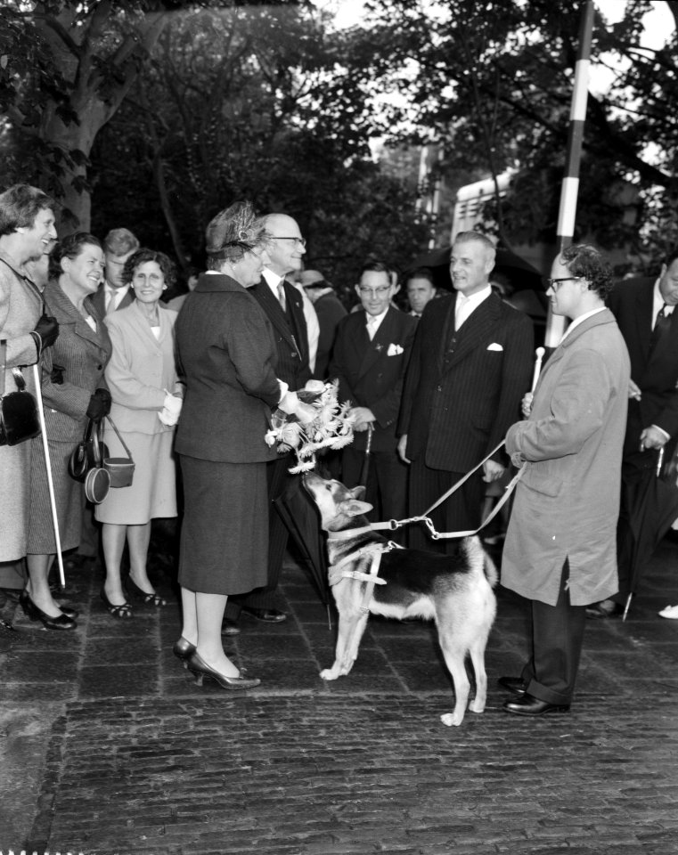 Koningin Juliana in gesprek met , Bestanddeelnr 911-6209