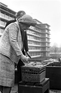 Koningin Juliana laat ballonnen op, Bestanddeelnr 926-3853