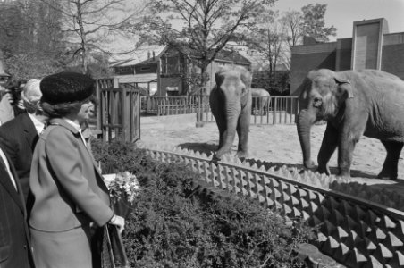 Koningin Beatrix bezoekt Artis i.v.m. 150-jarig bestaan, Bestanddeelnr 934-2413