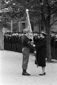Koningin Beatrix heeft vaandel uitgereikt aan het Regime interdancetroepen in de, Bestanddeelnr 931-0858