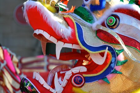 Dragon chinese new year