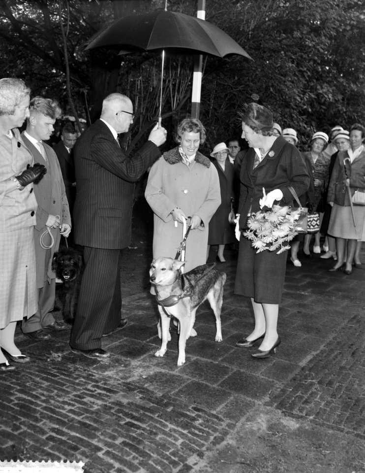 Koningin Juliana maakt een praatje, Bestanddeelnr 911-6196