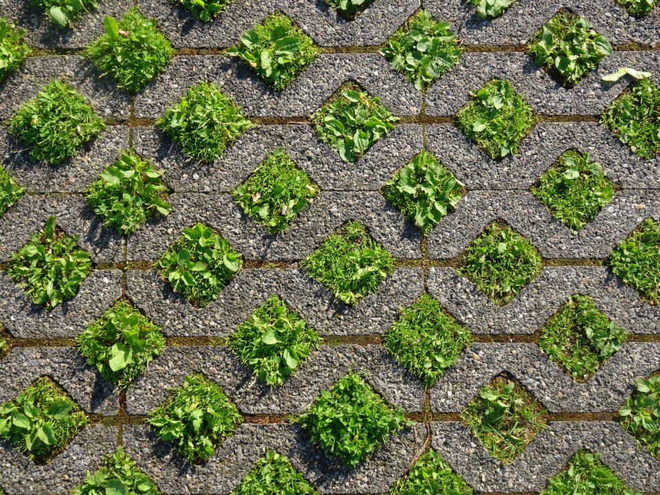 Concrete green grey