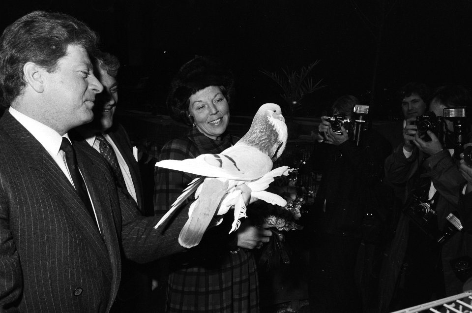 Koningin Beatrix bekijkt een Hollandse Kropper, Bestanddeelnr 933-5324