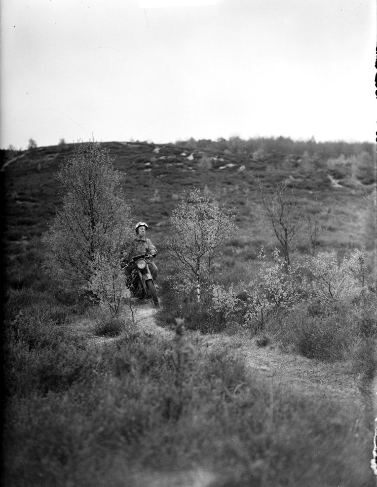 KNMV kampioensterrein rit op Veluwe, Bestanddeelnr 903-9346