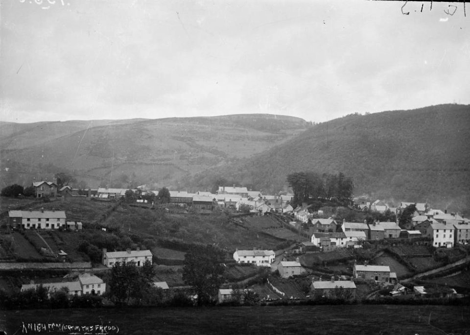 Knighton (from the Frydd) (1294116)