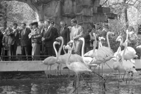 Koningin Beatrix bezoekt Artis i.v.m. 150-jarig bestaan, Bestanddeelnr 934-2412
