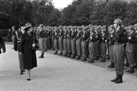 Koningin Beatrix heeft vaandel uitgereikt aan het Regime interdancetroepen in de, Bestanddeelnr 931-0856