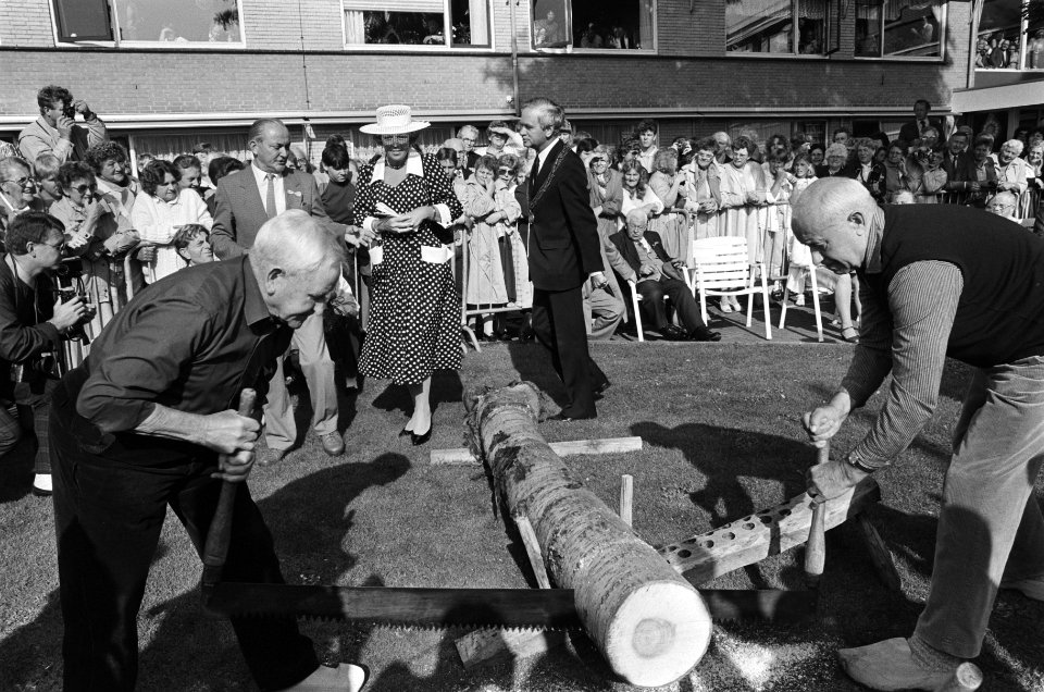 Koningin Beatrix bezoekt Oost Overijssel klompenmakers, Bestanddeelnr 933-4054